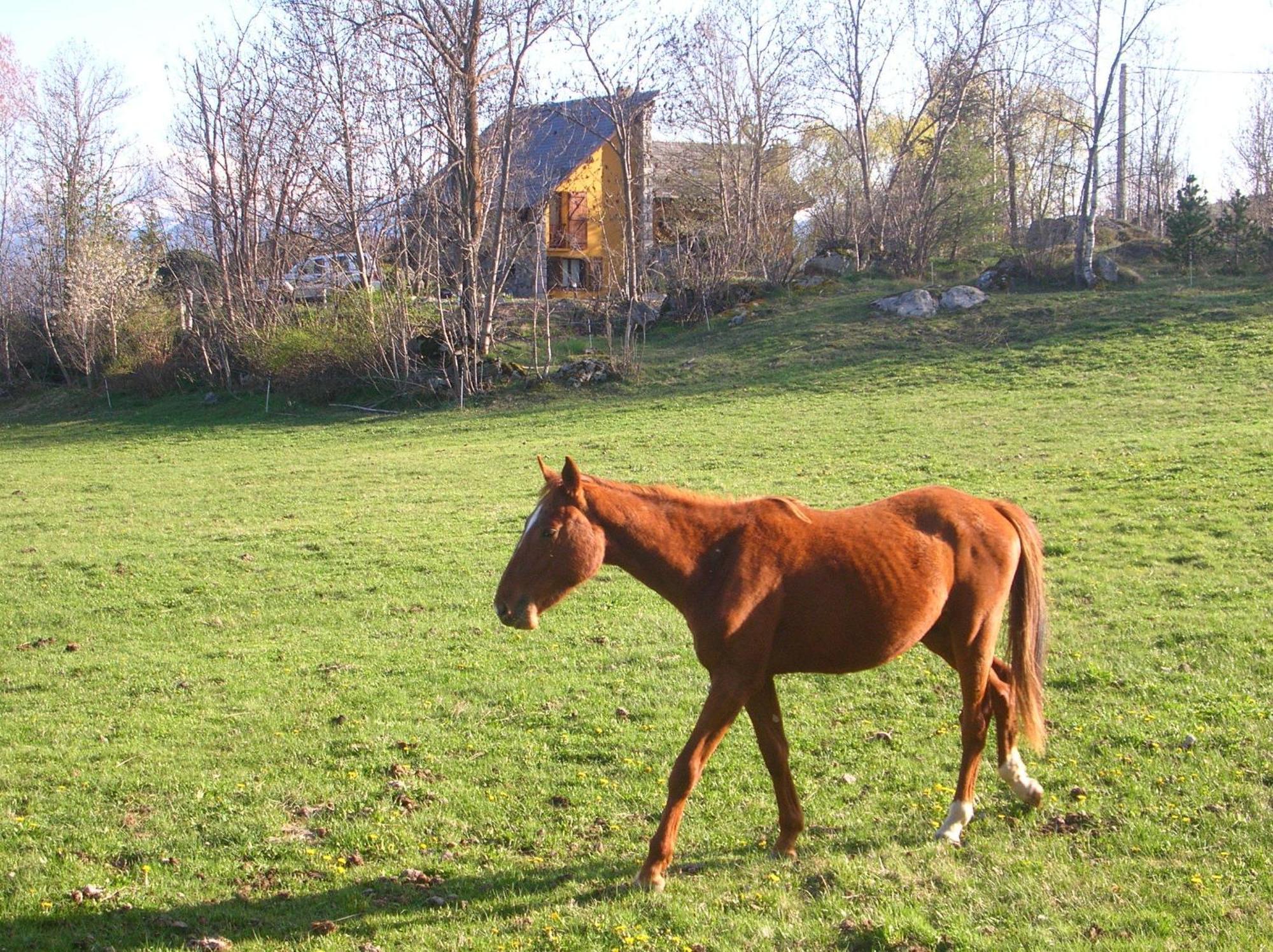 El Balco De Dorres Panzió Kültér fotó